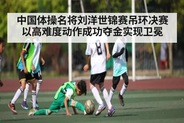 中国体操名将刘洋世锦赛吊环决赛以高难度动作成功夺金实现卫冕