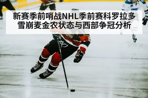 ice hockey player skating
